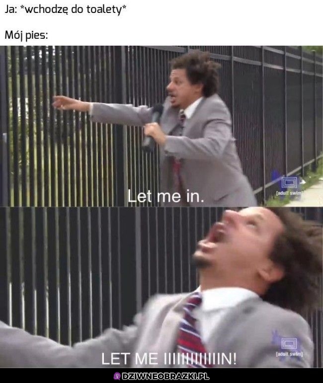 Ten moment