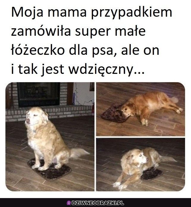 Troszkę nie ten rozmiar