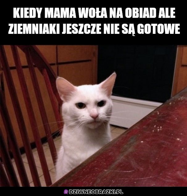Ale jak to