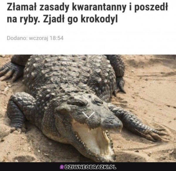 Co za akcja