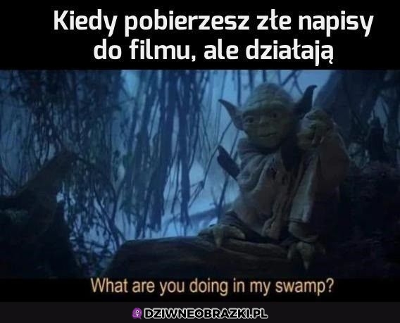 Wszystko na swoim miejscu