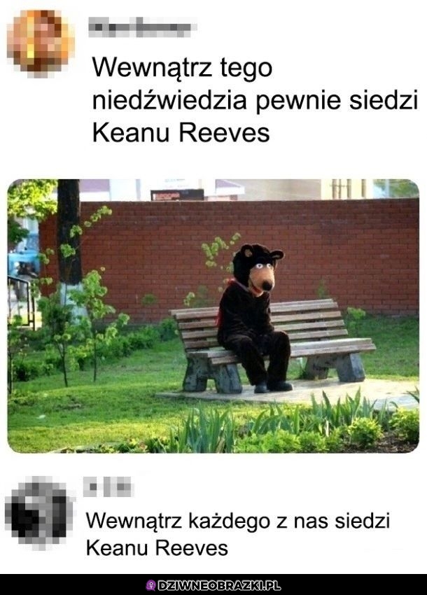 Każdy z nas jest tym niedźwiedziem