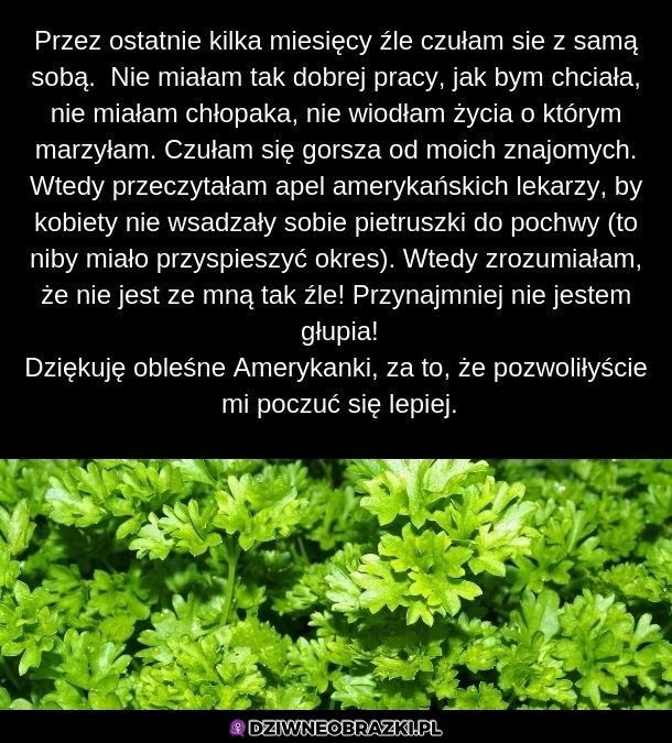 Dziękuję!