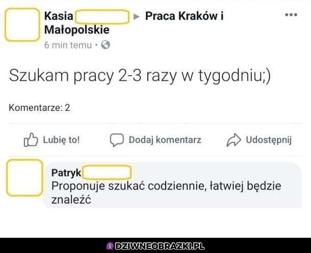 Poszukiwana praca