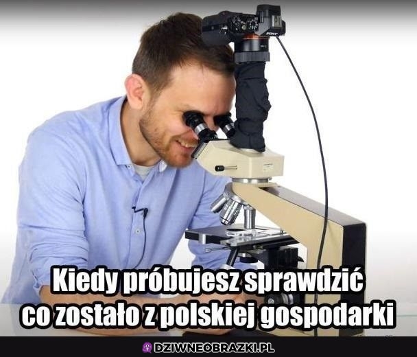 Niewiele