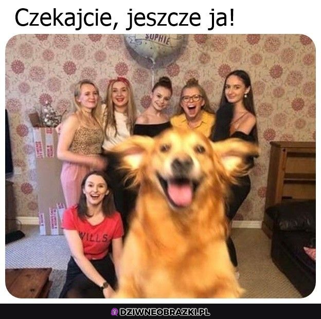 też chcę foteczkę