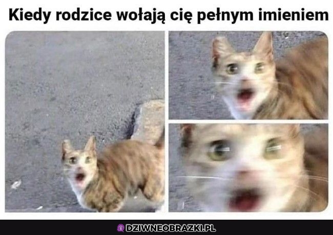 Ten moment