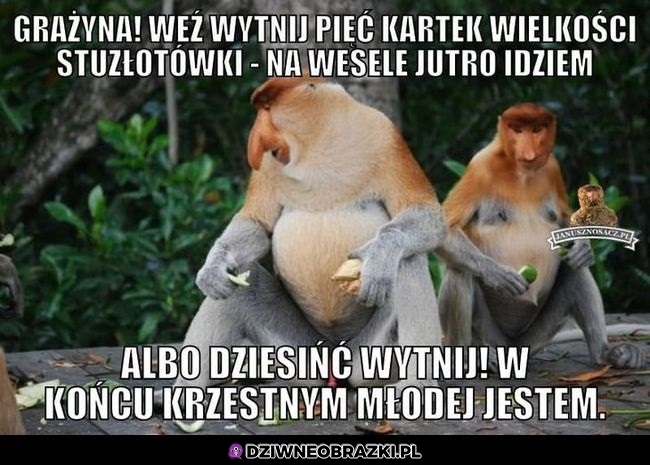 Janusz na weselu