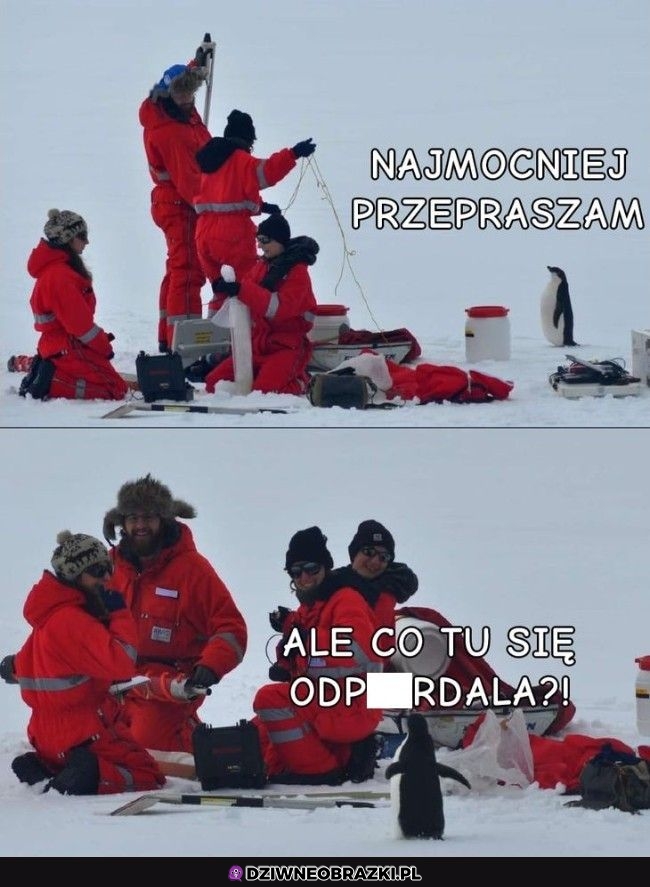 Przepraszam bardzo