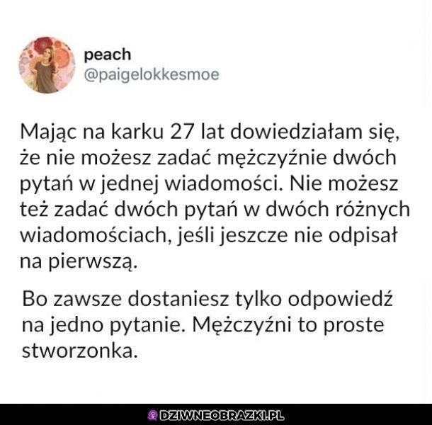 Tak to działa