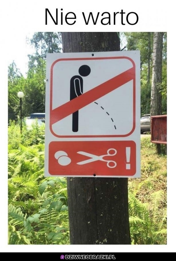 Chyba faktycznie