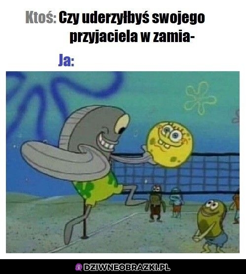 Jeszcze się pytasz