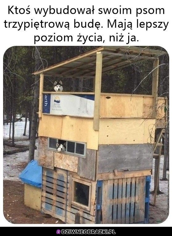 Takie to pożyją