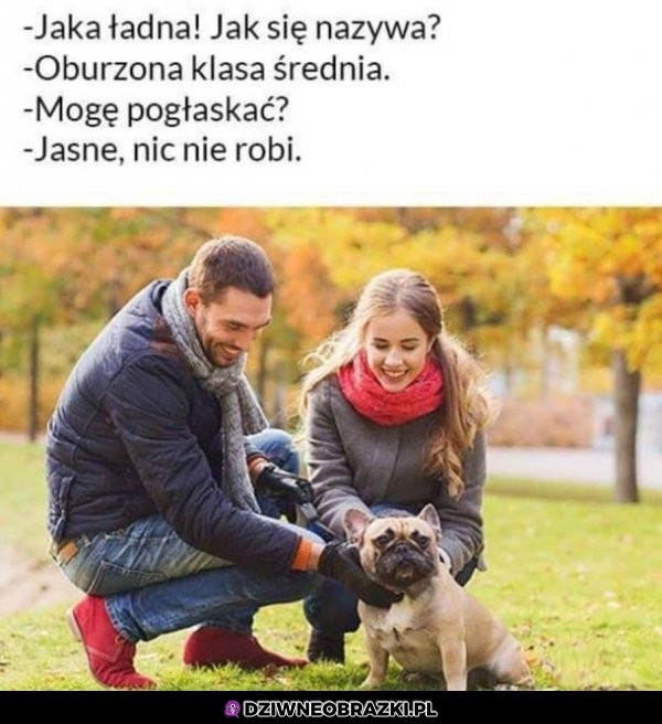 Jak się nazywa?