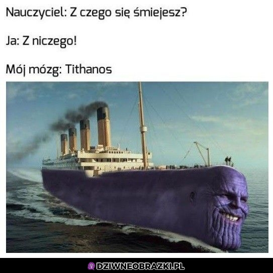 Dzięki mózgu