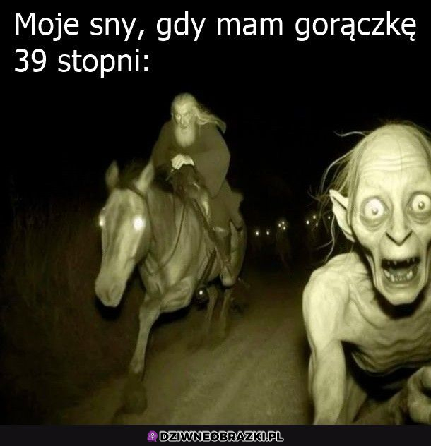 Właśnie takie mam