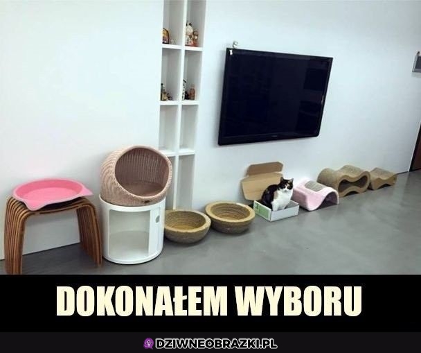 Nie był trudny