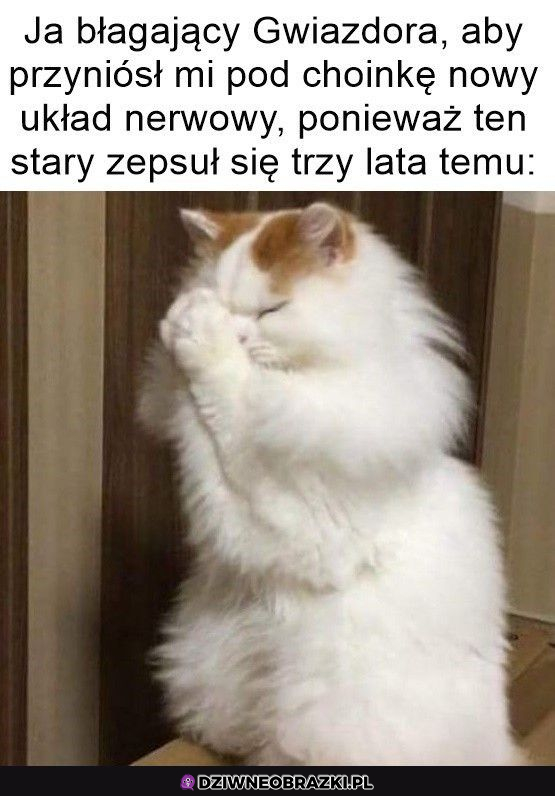 Poproszę