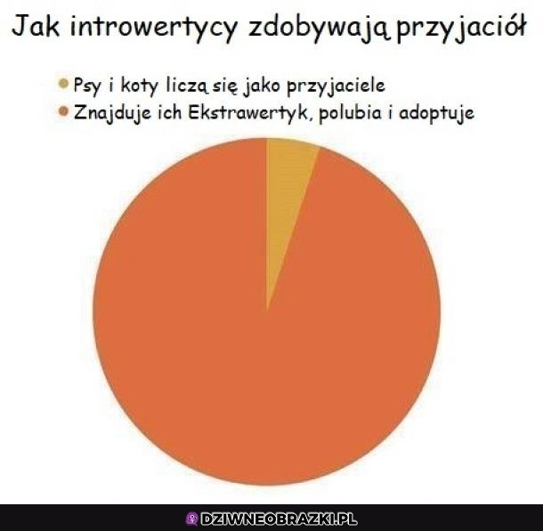 Zdobywanie przyjaciół