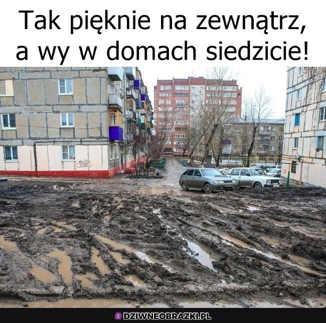 idźcie  na pole