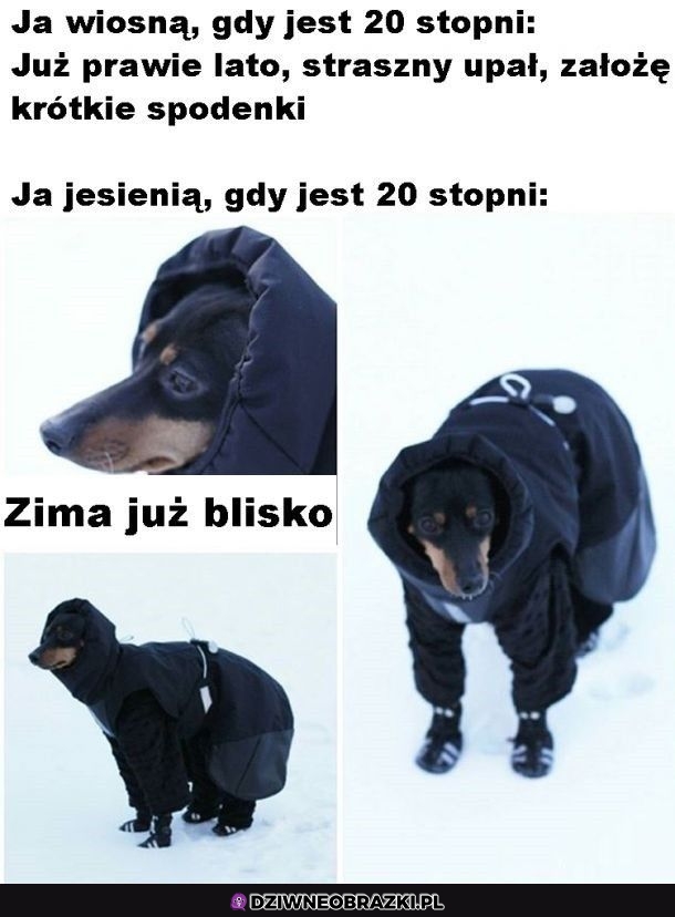 Ten moment