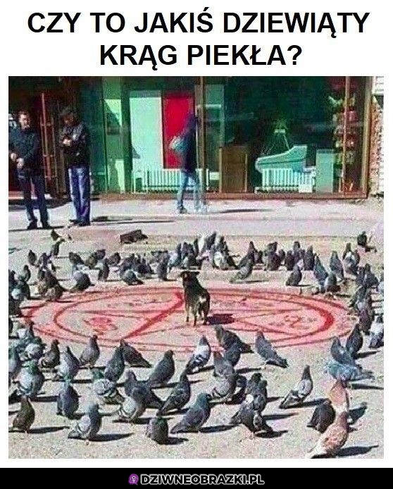 Krąg piekła