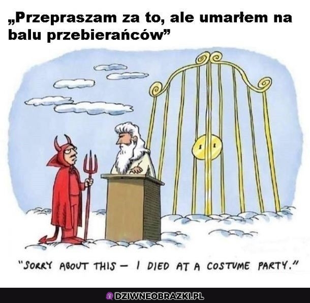 Sorki