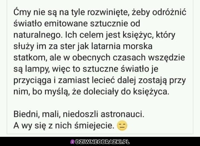 A ty się z nich śmiejesz