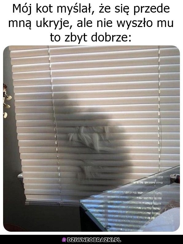 Ukryty