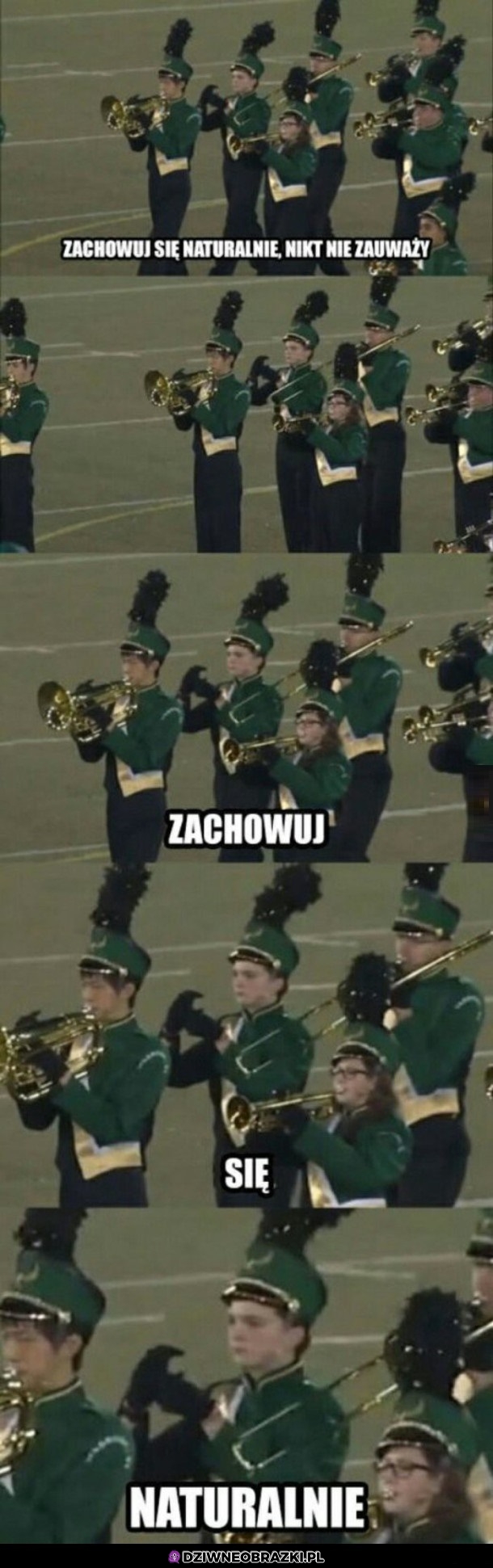 Nikt nie zauważy