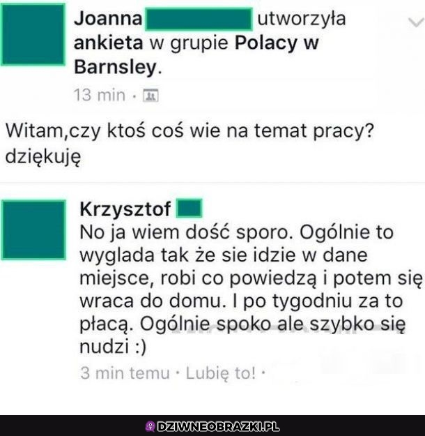Krzychu wie sporo o pracy