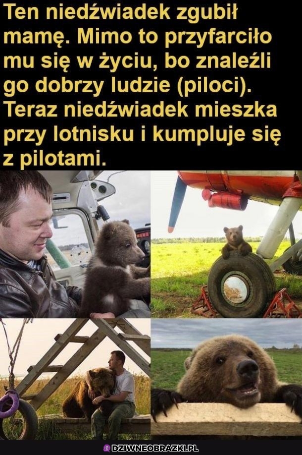 Szczęściarz