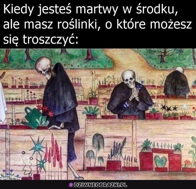 o roślinki trzeba dbać