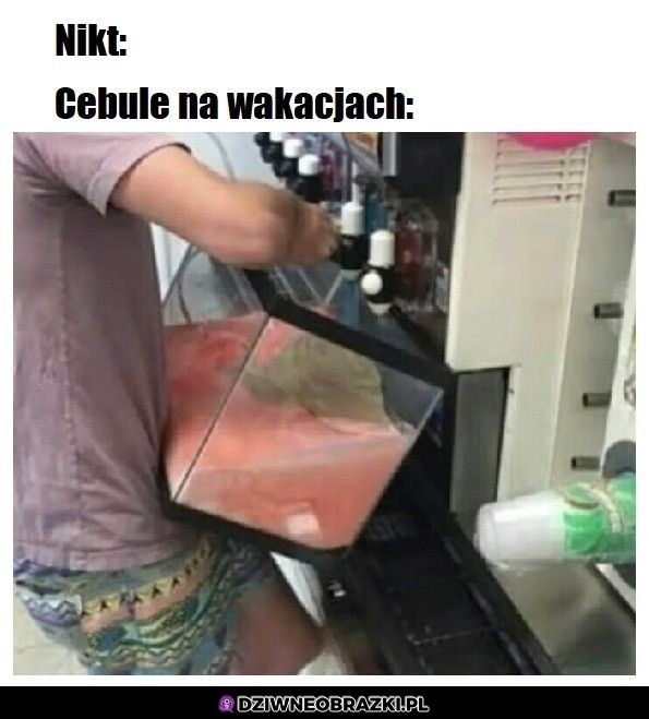 Szczyt cebuli
