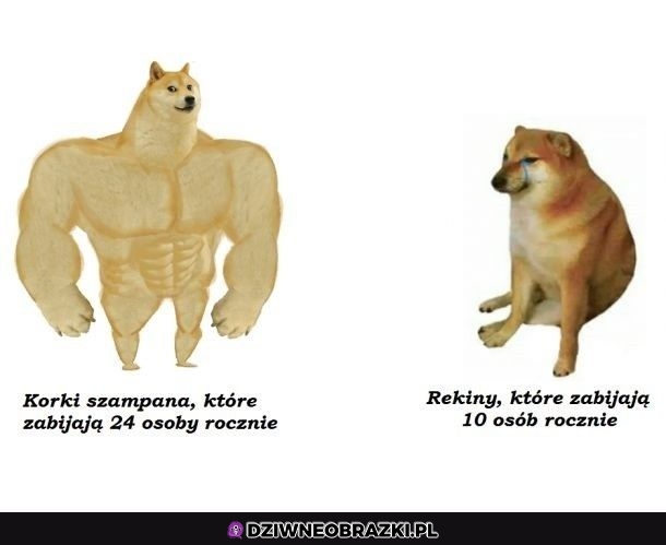 Prawdziwi zabójcy