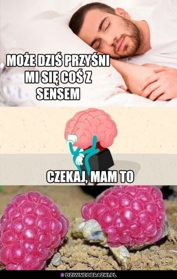 Totalnie sensowne sny