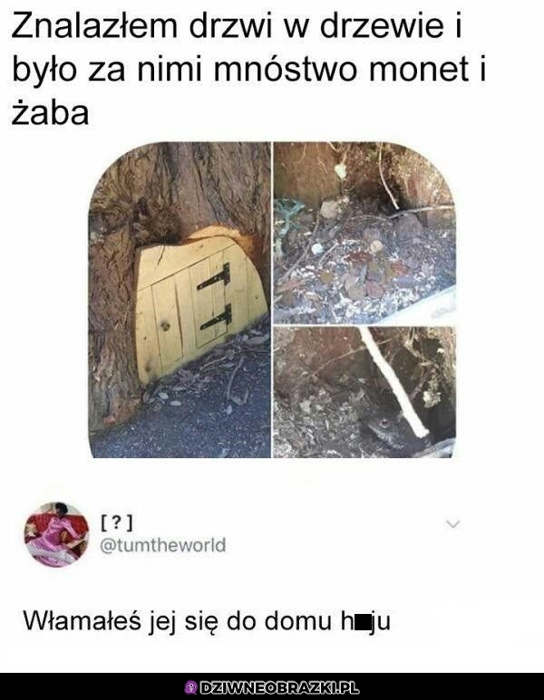 Żabi domek