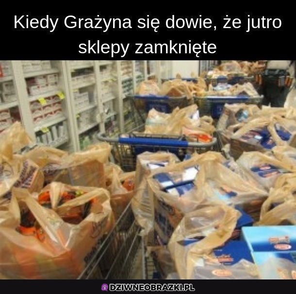 Gotowa jak na apokalipsę