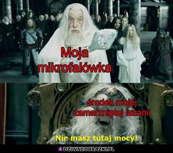 Mikrofala vs żarcie