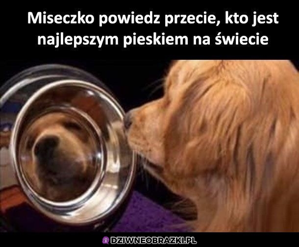 Lustereczko powiedz