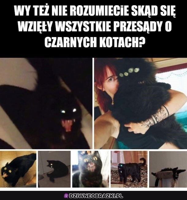 Nie mam pojęcia skąd