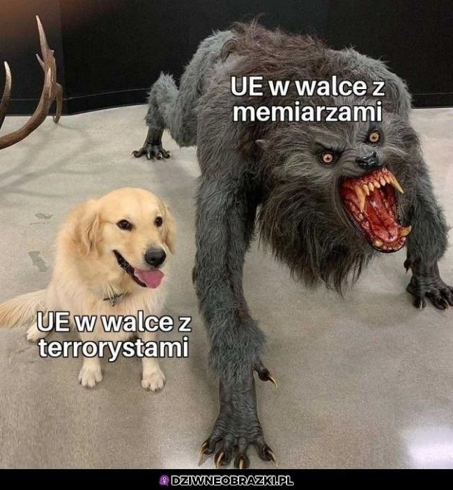 Unia walcząca
