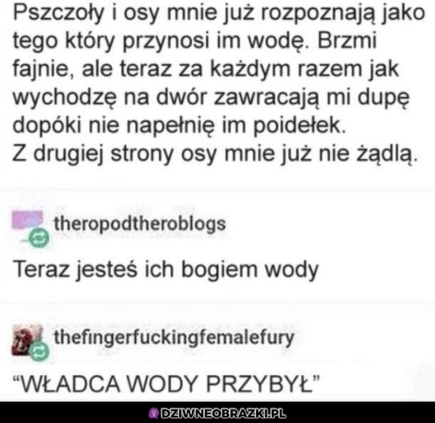 Ma szacun na dzielni