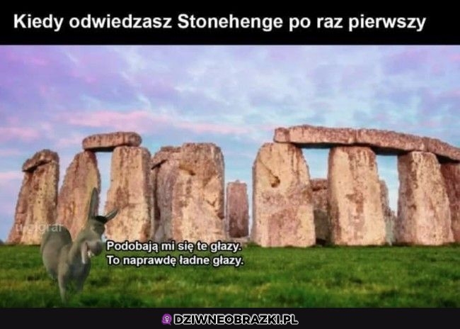 Dokładnie tak