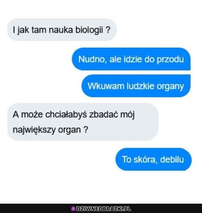 Mistrz podrywania