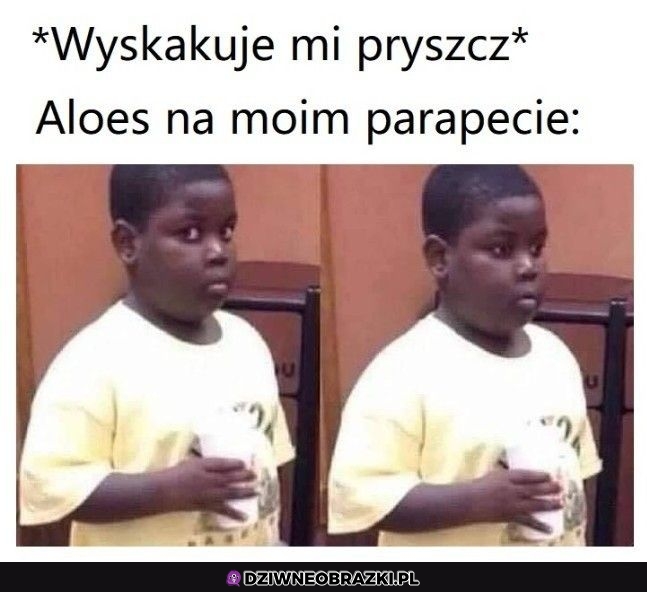 O nie
