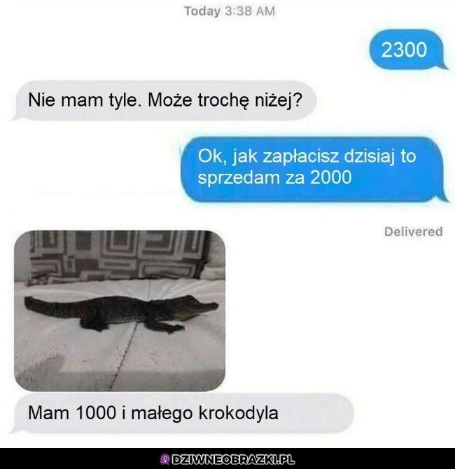 Kiedy próbujesz coś sprzedać na florydzie