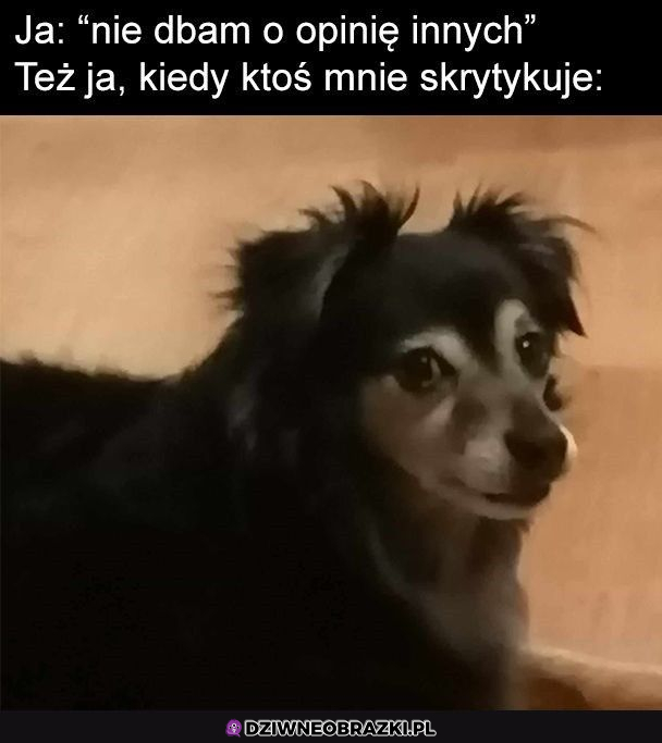 Ale nie krytykuj