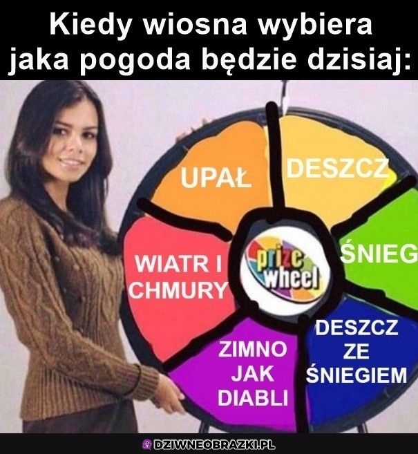 Wybór na dzisiaj