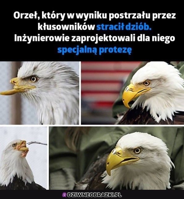 No i prawidłowo